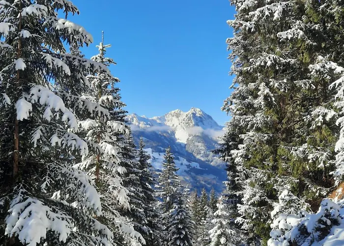 Alpenchalet Mitterlechner
