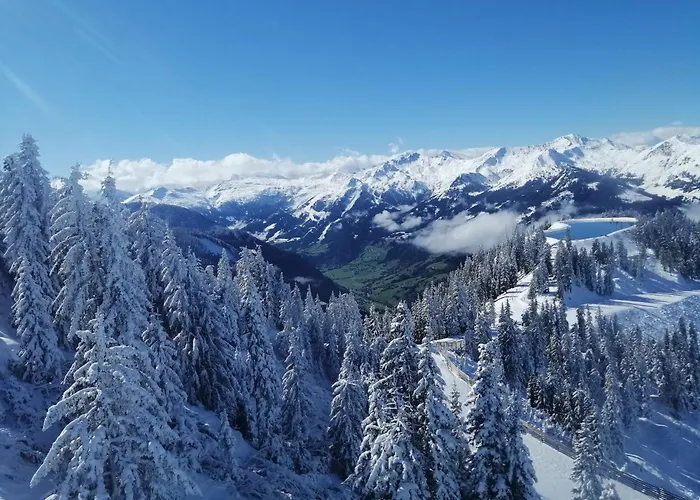 Alpenchalet Mitterlechner Holiday home *